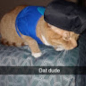 Meet your Posher, Tajon